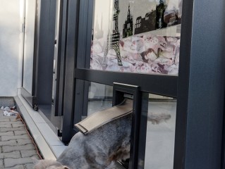 Serra per terrazzi Corso si può personalizzare anche per i vostri animali domestici (cani, gatti…)