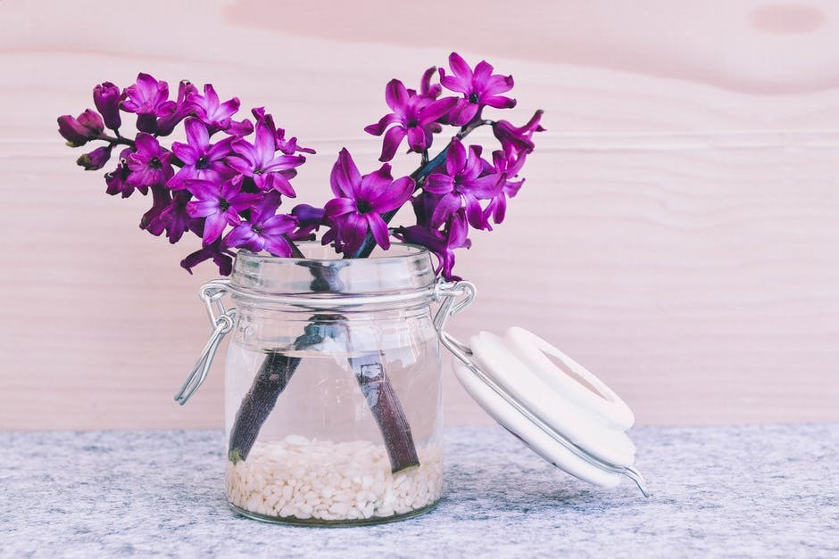 Flowers in a jar