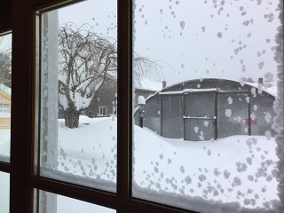 Another storm headed our way. Enclosure is holding up fine. We just got over 27" of snow and another 12-18" in the forecast. Thought youd like to see this.